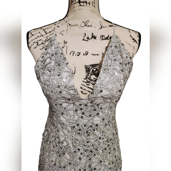 Forever 21 Plunging Silver Seguin Maxi Dress - Picture 6 of 12